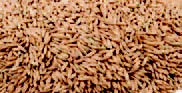 由德尔塔清洁剂清洗的燕麦。