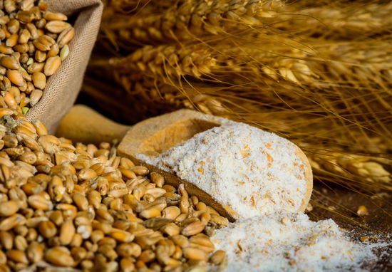 小麦，种子和面粉