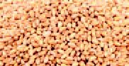 小麦由三角洲清洁剂清洁
